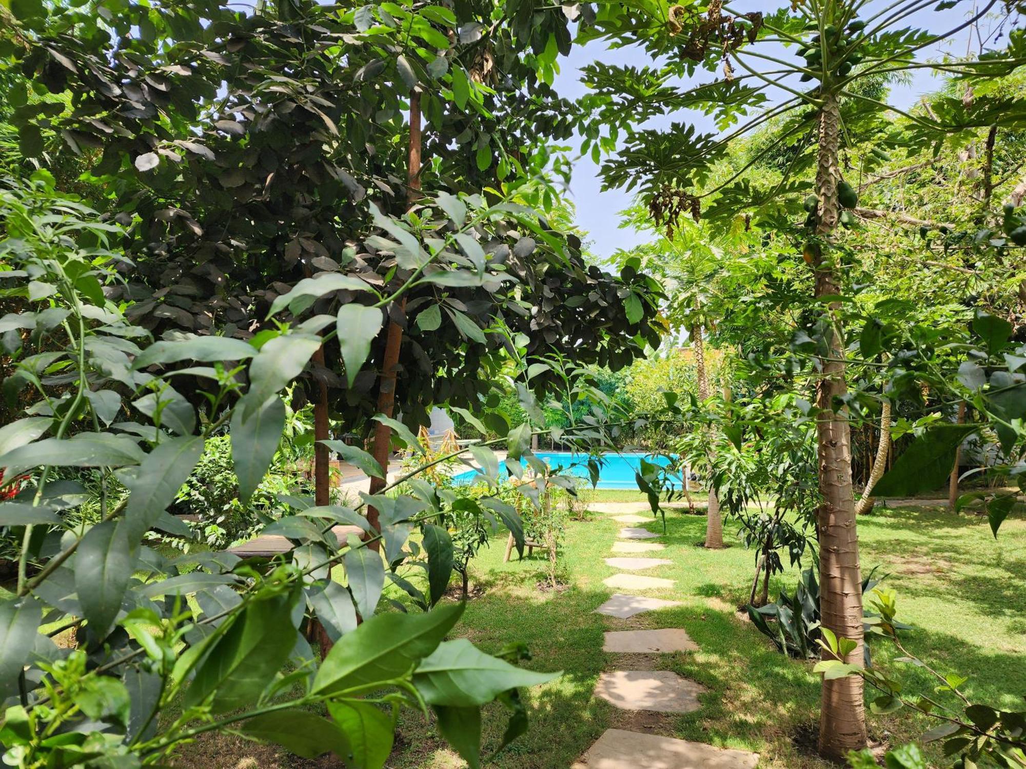 Haradali'S Home أروشا المظهر الخارجي الصورة